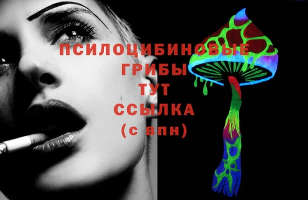 соль ск Арсеньев