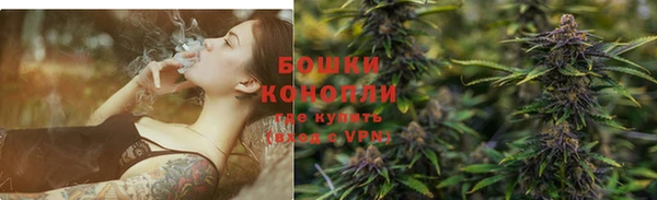 бошки Аркадак