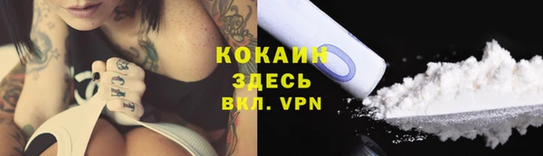 бошки Аркадак