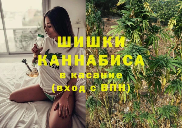бошки Аркадак